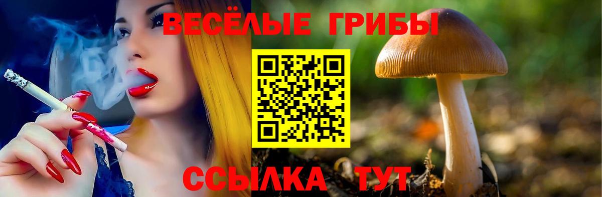 Берёзовский  Псилоцибиновые грибы Magic Shrooms  Вход с VPN 